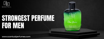 strongest perfume for men