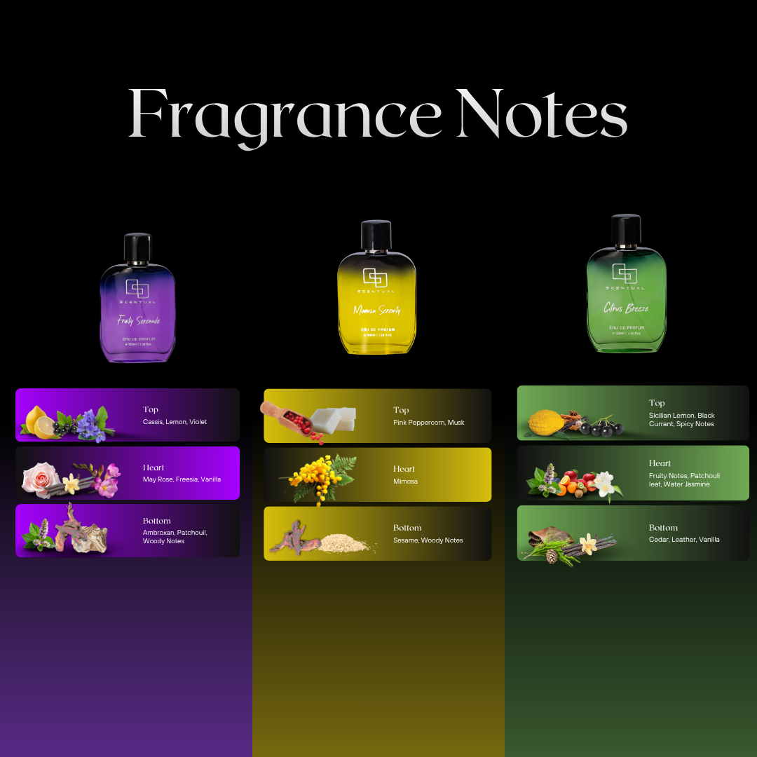 Scentual Perfume Combo, Citrus Breeze, Mimosa Serenity & Fruity Serenade